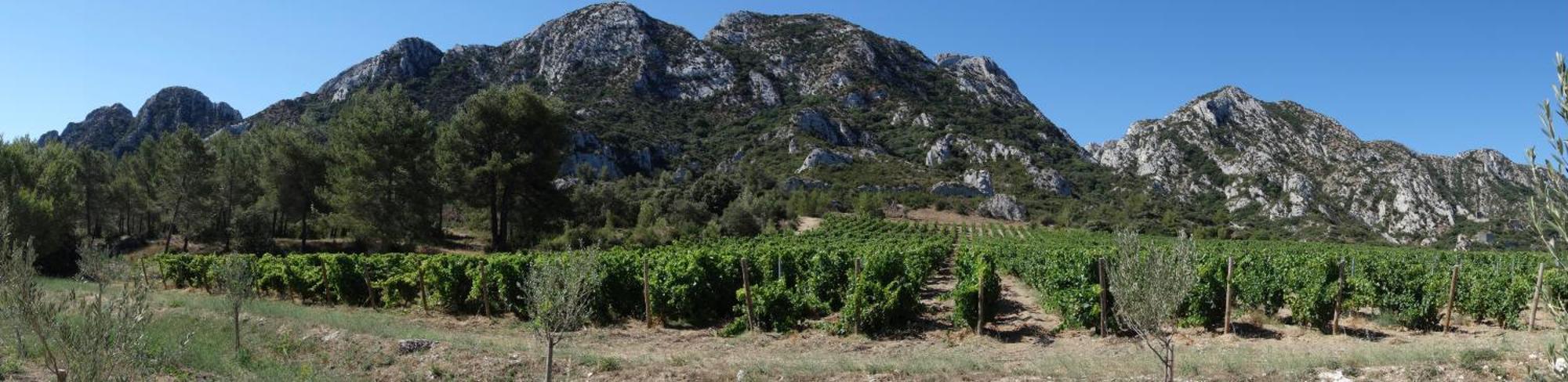 Les Lavandins-Gite Magali Saint-Rémy-de-Provence Buitenkant foto