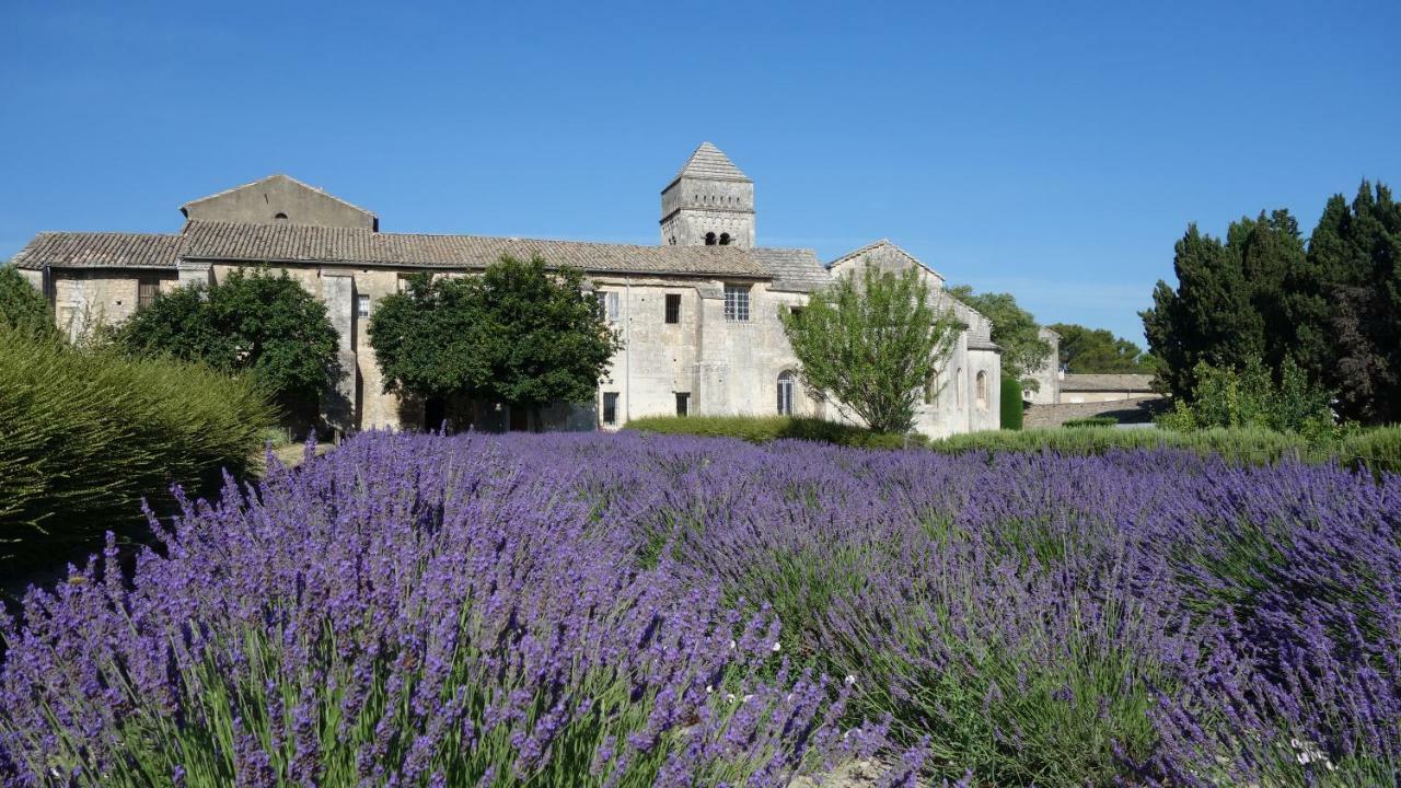 Les Lavandins-Gite Magali Saint-Rémy-de-Provence Buitenkant foto