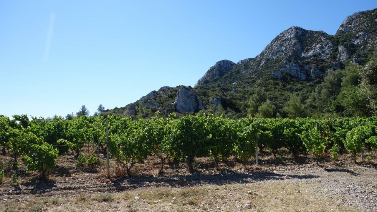 Les Lavandins-Gite Magali Saint-Rémy-de-Provence Buitenkant foto