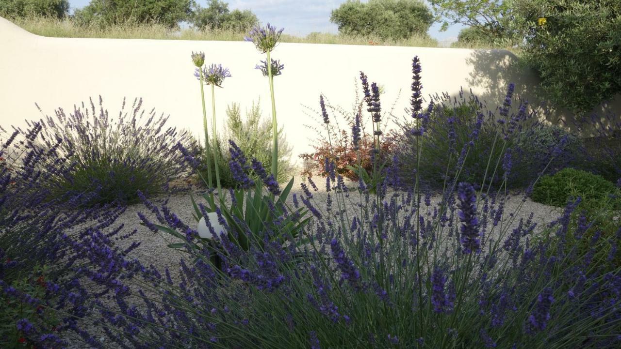 Les Lavandins-Gite Magali Saint-Rémy-de-Provence Buitenkant foto
