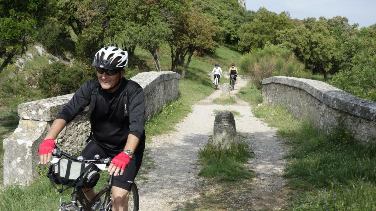 Les Lavandins-Gite Magali Saint-Rémy-de-Provence Buitenkant foto
