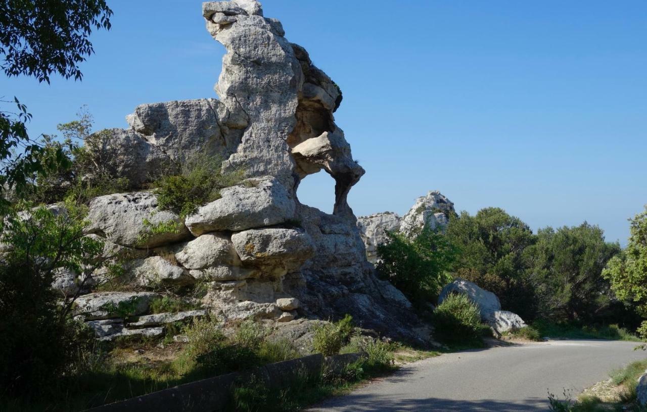 Les Lavandins-Gite Magali Saint-Rémy-de-Provence Buitenkant foto
