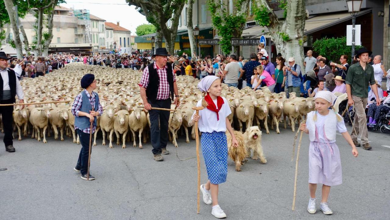 Les Lavandins-Gite Magali Saint-Rémy-de-Provence Buitenkant foto
