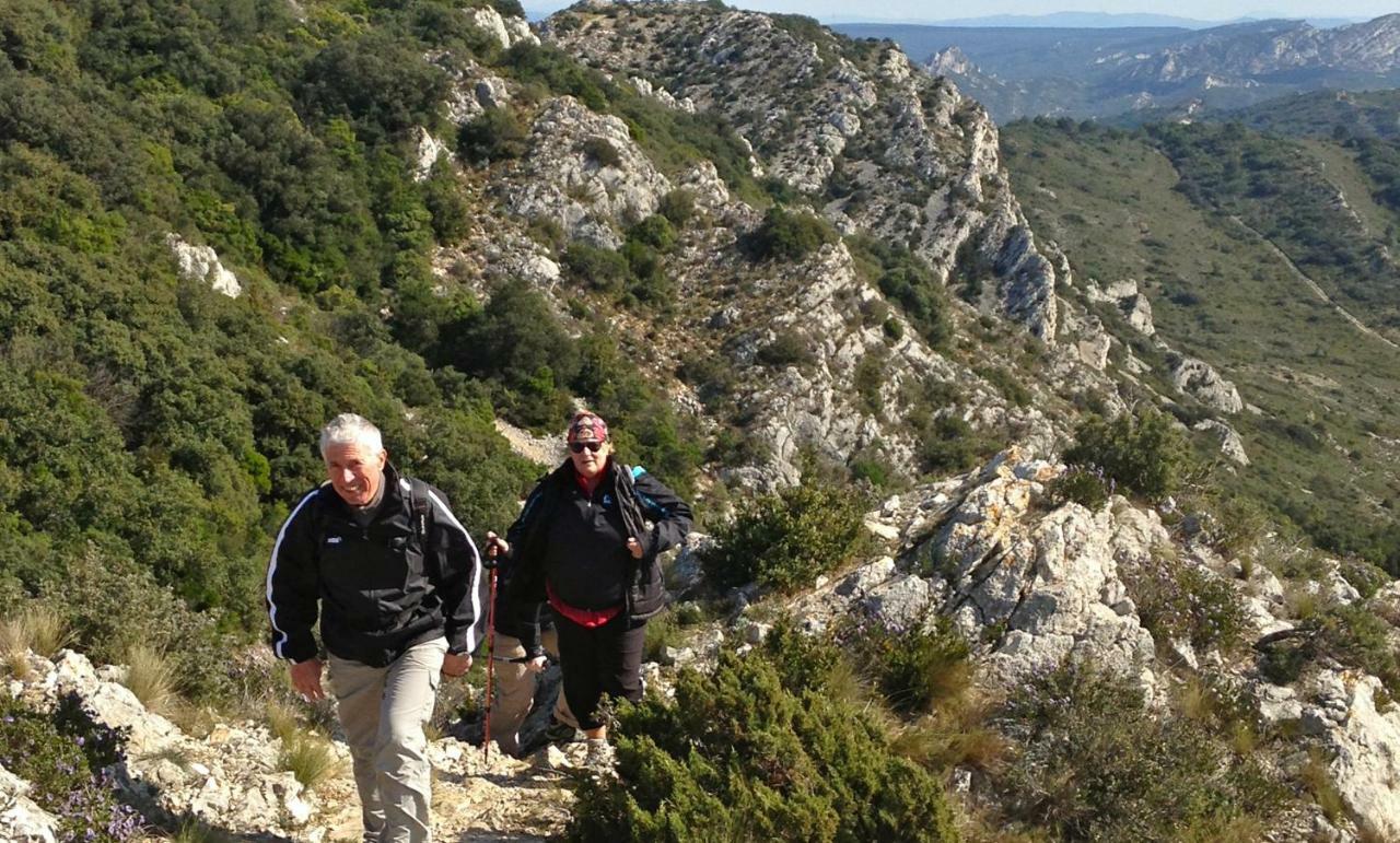 Les Lavandins-Gite Magali Saint-Rémy-de-Provence Buitenkant foto